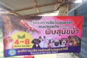 Safe-animals-from-rabies-Project-2567